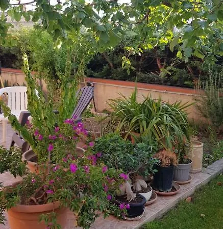 Bed & Breakfast Sassi's Loft